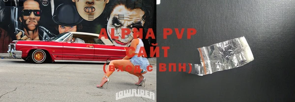 спиды Богданович