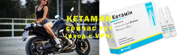 спиды Богданович