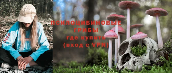 Альфа ПВП Богородицк
