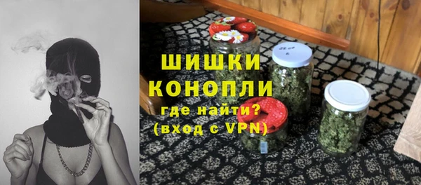 хмурый Богородск
