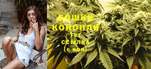 спиды Богданович