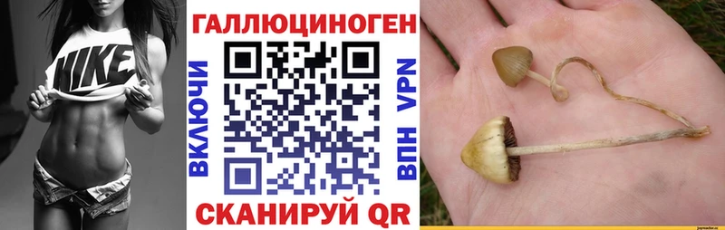 Псилоцибиновые грибы GOLDEN TEACHER  Нарьян-Мар 
