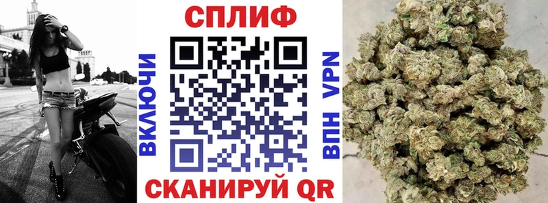 Конопля ГИДРОПОН  сколько стоит  Нарьян-Мар 